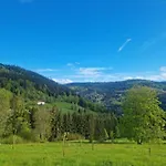 In Near Chalet Saulxures-sur-Moselotte