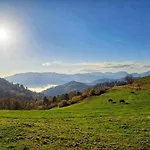 Chalet In Near Saulxures-sur-Moselotte