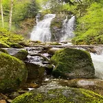 In Near * Saulxures-sur-Moselotte