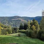 In Near Chalet Saulxures-sur-Moselotte