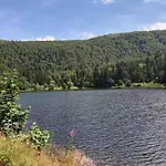 In Near