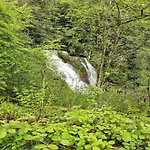 In Near Alpehytte