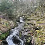 Alpehytte In Near