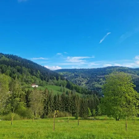 Chalet Magnificent In Sur Moselotte *
