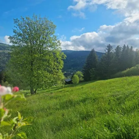 Alpstuga In Near
