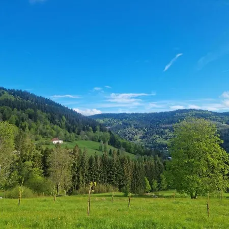 In Near Alpstuga Saulxures-sur-Moselotte