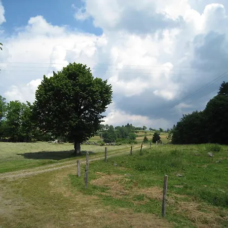 Alpstuga In Near