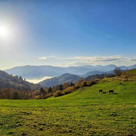 Chalet In Near Saulxures-sur-Moselotte