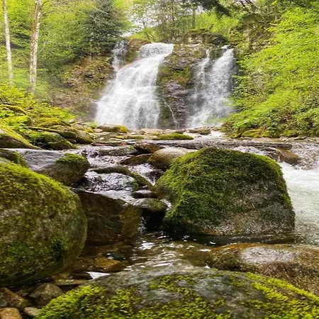 In Near * Saulxures-sur-Moselotte