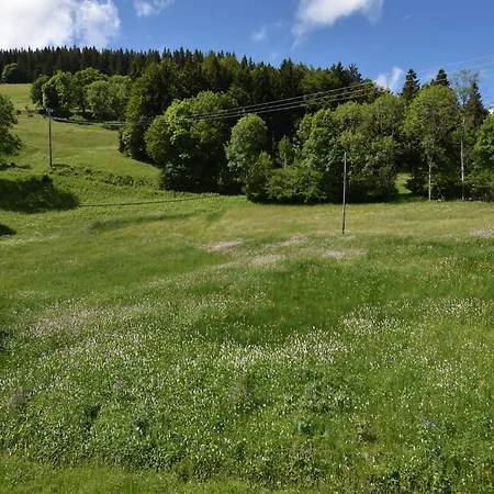 Chalet In Near Saulxures-sur-Moselotte