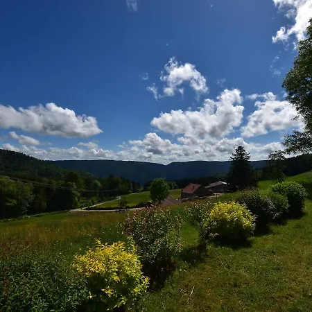 Magnificent In Sur Moselotte Chalet