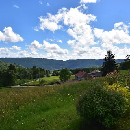 Magnificent In Sur Moselotte