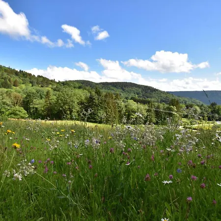 Magnificent In Sur Moselotte * Saulxures-sur-Moselotte