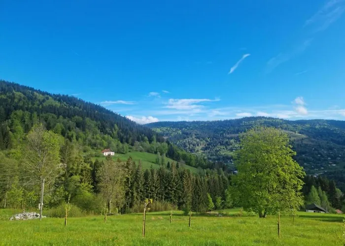 In Near Chalet Saulxures-sur-Moselotte