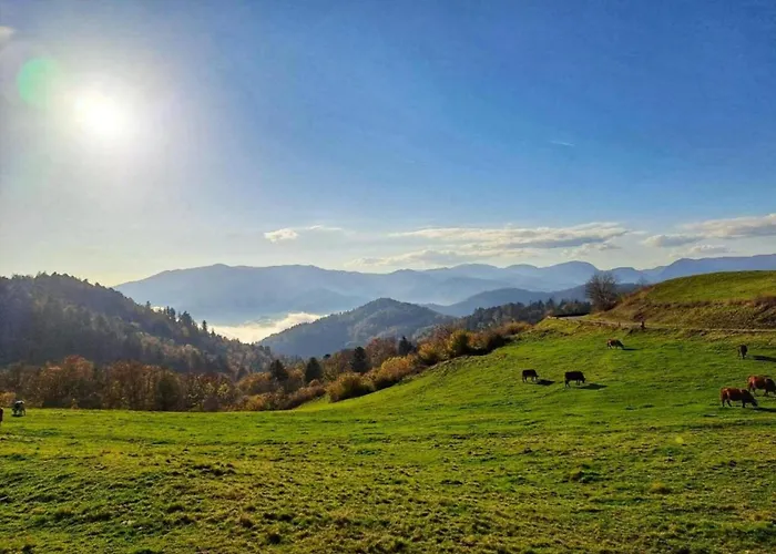 Chalet In Near Saulxures-sur-Moselotte