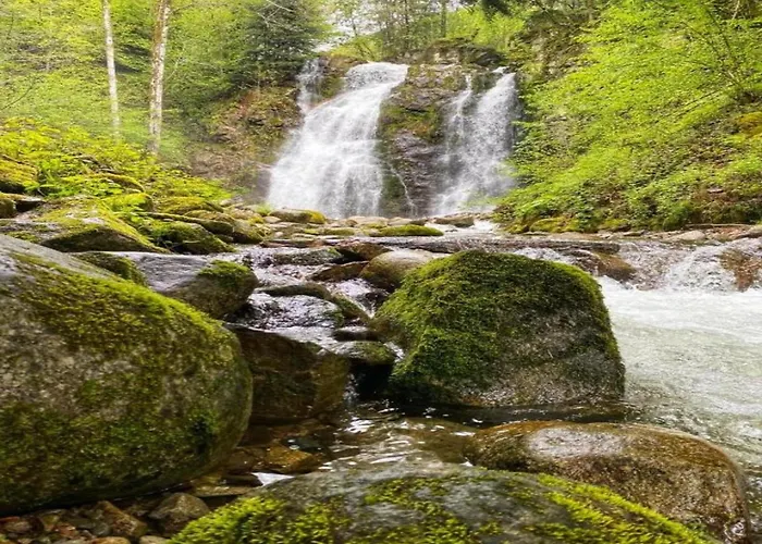 In Near * Saulxures-sur-Moselotte