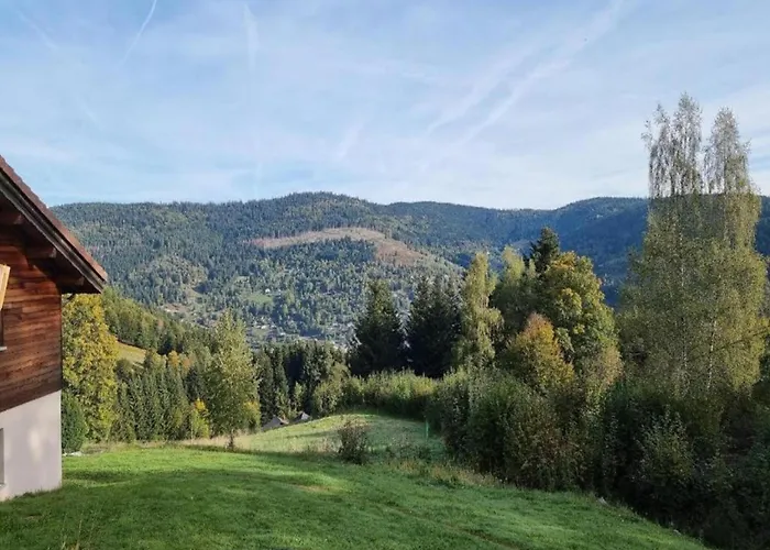 In Near Chalet Saulxures-sur-Moselotte