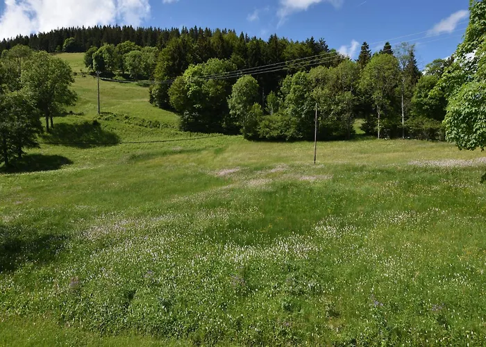 Chalet In Near Saulxures-sur-Moselotte